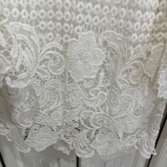 Lace Mini Dress - Picture 3 of 3